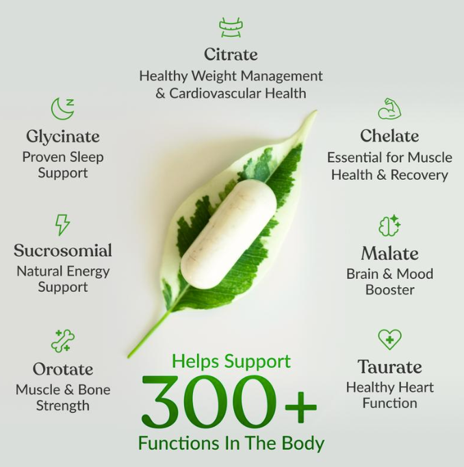 Magnesium 4.0 Supplement